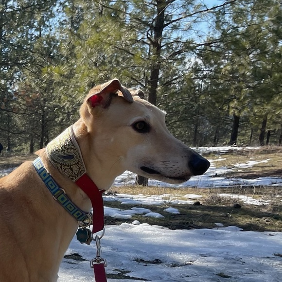 Meet your Posher, Julia - Picture 1 of 1